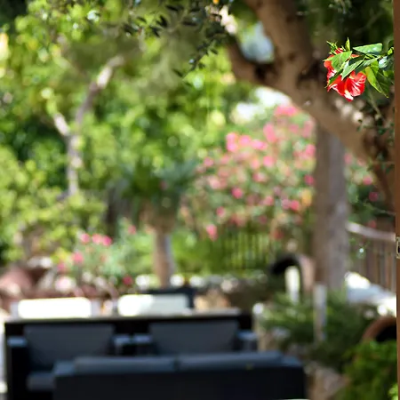 Hotel Turixant Mancor del Valle